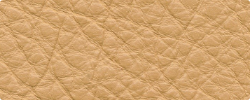 Ecopelle